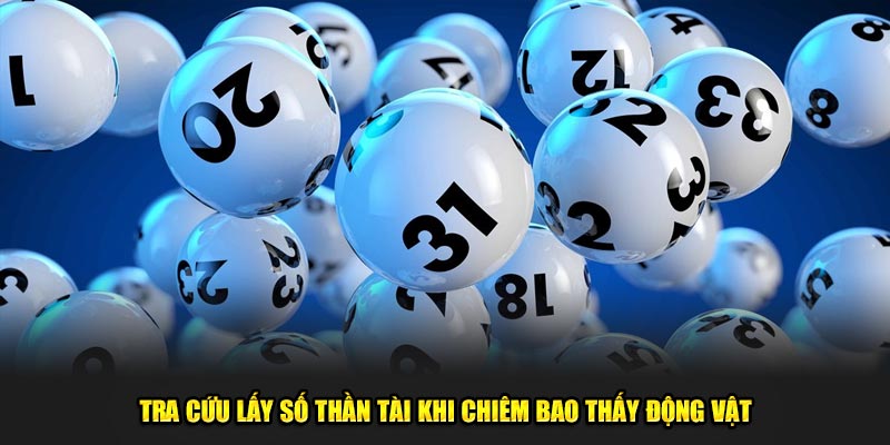 Tra cứu lấy số thần tài khi chiêm bao thấy động vật