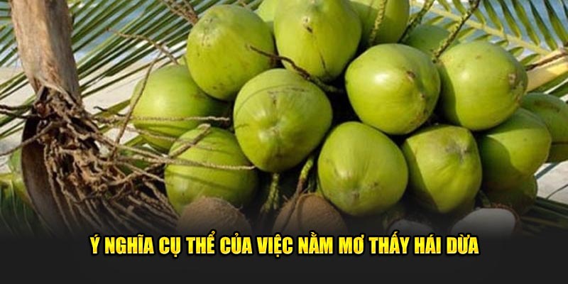 Ý nghĩa cụ thể của việc nằm mơ thấy hái dừa