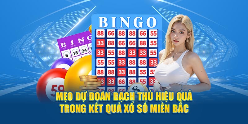 Mẹo dự đoán bạch thủ Soi Cầu Miền Bắc