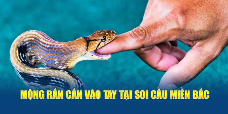 Mộng rắn cắn vào tay tại Soi Cầu Miền Bắc