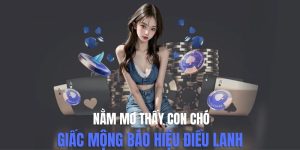 soi cầu xổ số miền bắc