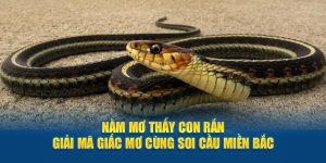 soi cầu xổ số miền bắc