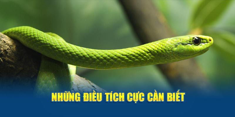 Những điều tích cực cần biết